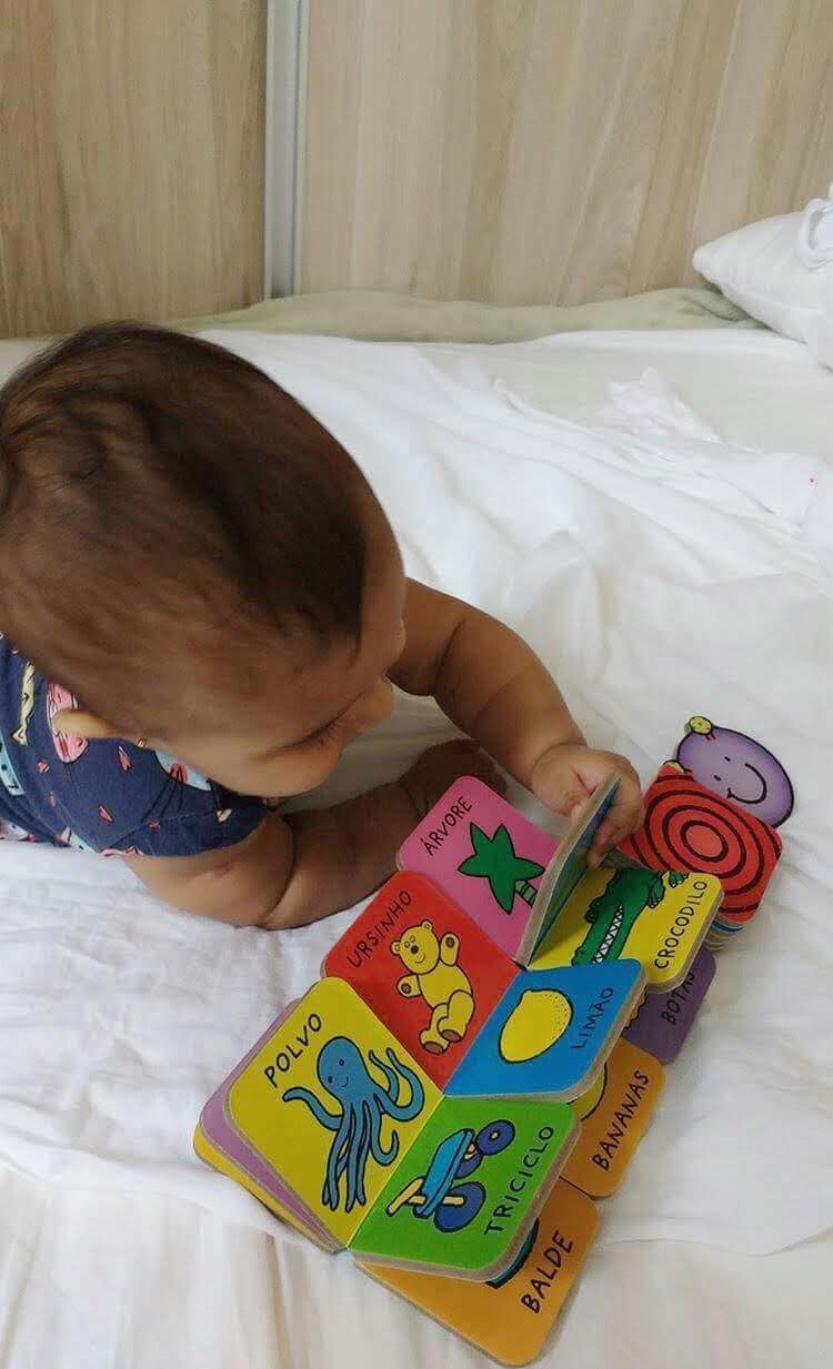 Livrinhos para Bebês até os 6 meses